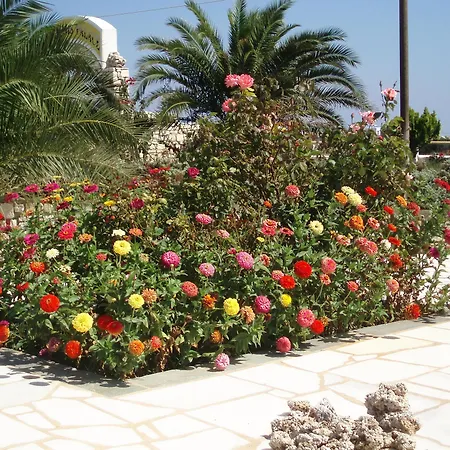 Fyrogenis Palace -
